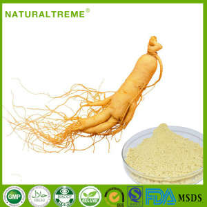 6 Year Old Ginseng Root Extract with 80% Ginsenoside